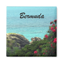 Bermuda Refrigerator Magnets