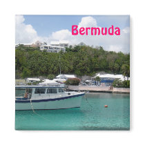 Bermuda magnet