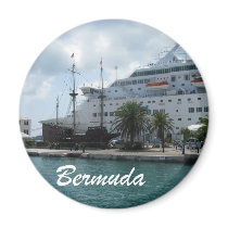 Bermuda Fridge Magnets