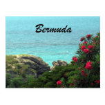 Bermuda Post Card
