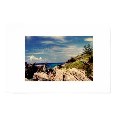 Bermuda Print by nikismells