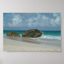 Bermuda Print