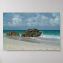 Bermuda Print