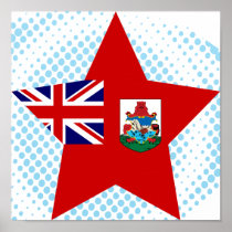 Bermuda Star Print