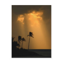 Bermuda sunset postcards