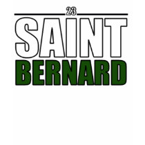 bernard T-shirt by QMJHLgirl bernard T-shirt