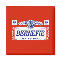 Bernefie magnets