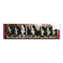 Berner Puppy- BUMPERS.. bumper stickers