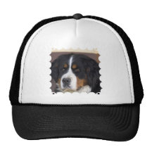 Berner Sennenhund Baseball Hat