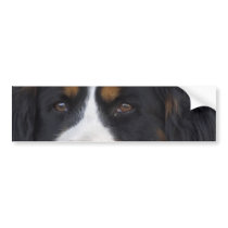 Berner Sennenhund Bumper Sticker
