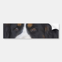 Berner Sennenhund Bumper Sticker