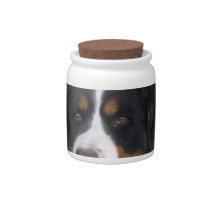Berner Sennenhund Candy Jar