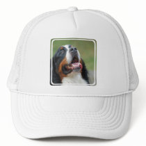 Berner Sennenhund Dog Baseball Hat