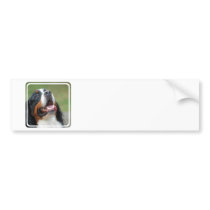 Berner Sennenhund Dog Bumper Sticker