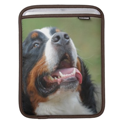 Berner Sennenhund Dog iPad Sleeve by DogPoundGifts