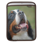 Berner Sennenhund Dog iPad Sleeve