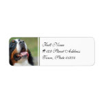 Berner Sennenhund Dog Mailing Labels