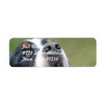 Berner Sennenhund Dog Mailing Labels