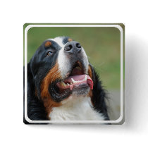 Berner Sennenhund Dog Pin