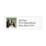 Berner Sennenhund Dog return Address Mailing Label
