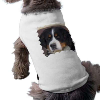 Berner Sennenhund Dog Shirt by DogPoundGifts