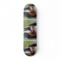 Berner Sennenhund Dog Skateboard