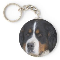 Berner Sennenhund Keychain