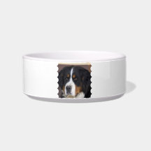 Berner Sennenhund Pet Bowl Cat Water Bowls