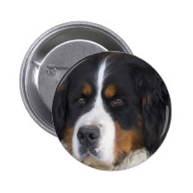 Berner Sennenhund Round Pin