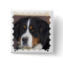 Berner Sennenhund Square Pin