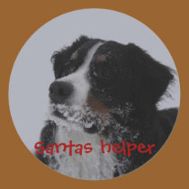 berner with beard christmas stickers