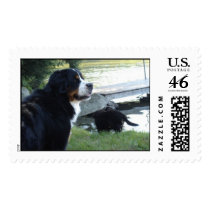 Berners & NY lake in the Summer stamp - Customized