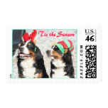 Berners 'Tis the Season Stamp