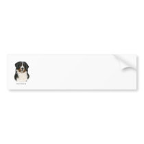 Bernese 9Y348D-094 Bumper Stickers