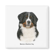 Bernese 9Y348D-094 magnets