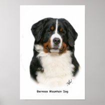 Bernese 9Y348D-094 Poster