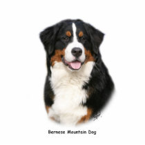 Bernese 9Y348D-115 photo sculptures