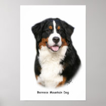 Bernese 9Y348D-115 Poster