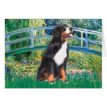 Bernese - Bridge Cards