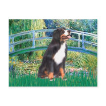 Bernese - Bridge Post Cards