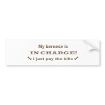 bernese bumper stickers