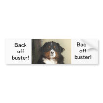 Bernese Dog Bumper Sticker