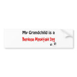 Bernese Grandchild Bumper Sticker