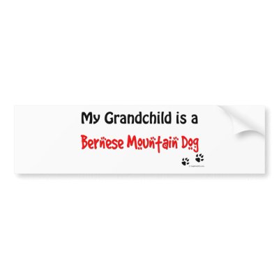 Bernese Grandchild Bumper Sticker by dogwiregifts