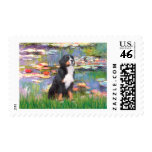 Bernese - Lilies 2 postage