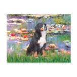 Bernese - Lilies 2 Postcard