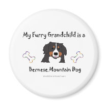 Bernese Magnets