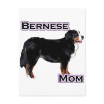 Bernese Mom 4 Post Card