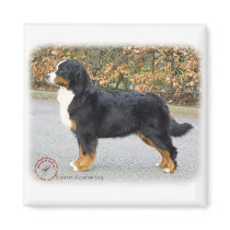 Bernese Mountain Dog 9T066D-221 magnets