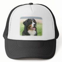 Bernese Mountain Dog 9Y066D-046 Mesh Hat
